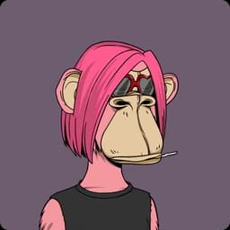 Ape 8